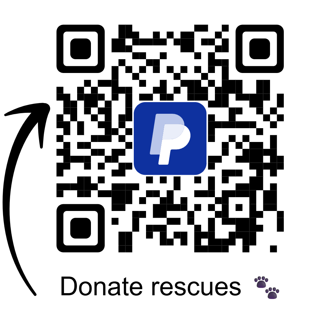 Donate with Compassion – Help Save Vulnerable Animals Today