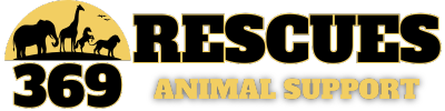 Rescues Animal 369