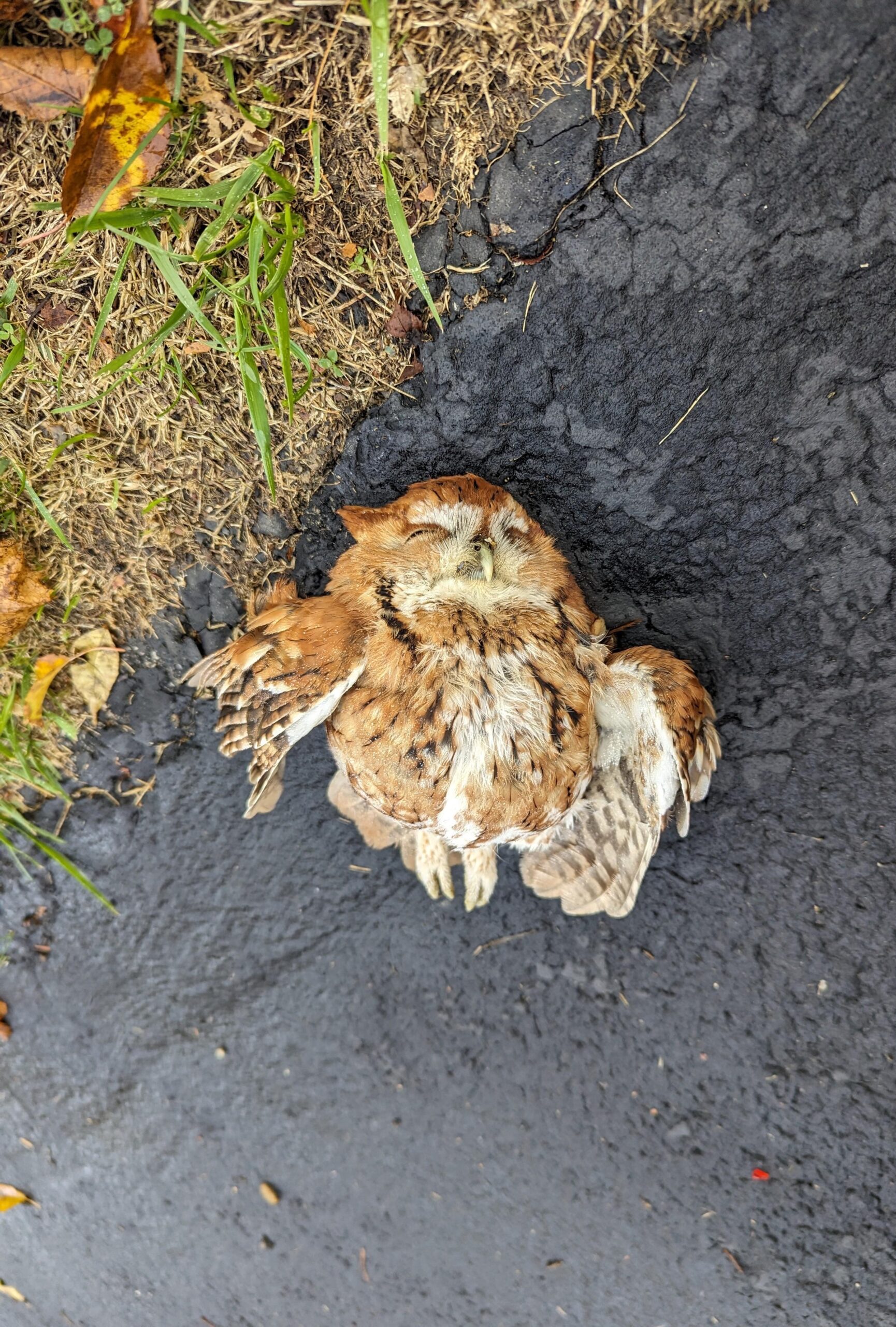 SHIVERING IN THE COLD – THIS LITTLE cf JUST WANTS A WARM EMBRACE 2