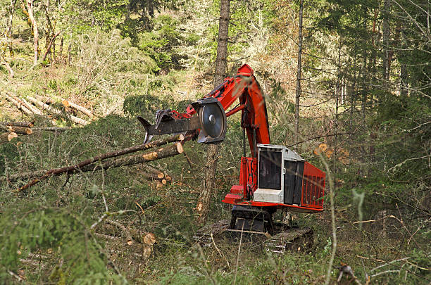 SHIVERING IN THE COLD – THIS LITTLE cf JUST WANTS A WARM EMBRACE 3