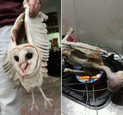 SHIVERING IN THE COLD – THIS LITTLE cf JUST WANTS A WARM EMBRACE 5